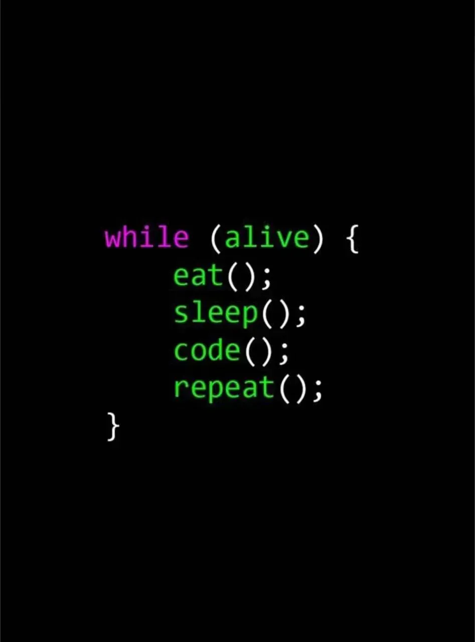 Наша команда